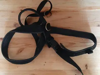 Schweiss/ spor/ træksele, refleksveste og halsbånd