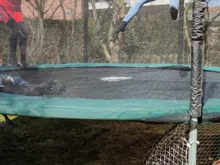 Grøn Trampolin 430 m. fodboldmål, net, stige, 