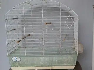 Stort hvidt buet fuglebur