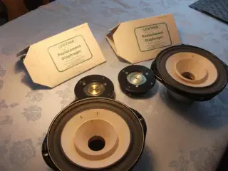 Lowther DX 2 Drive units