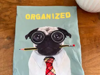 Bogbind