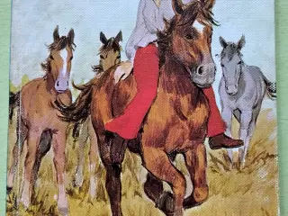 Hvem skal ride Temora ?