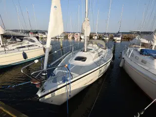 Sejlbåd Dehler 31 Duetta fra 1988