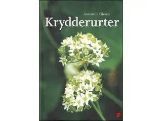 Krydderurter