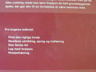 træn din hvalp, af christina ingerslev, emne: dyr