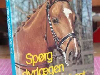 Spørg Dyrlægen om din hest af Kristine Elbæk