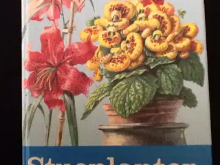 Potteplanter i farver