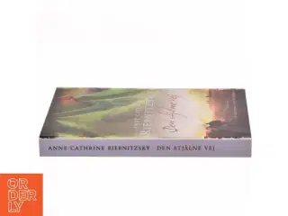 Den stjålne vej af Anne-Cathrine Riebnitzsky (Bog)