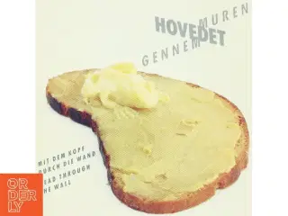 Hovedet gennem muren (Bog)