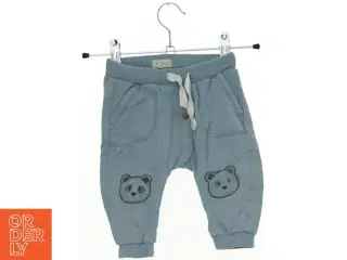 Sweatpants fra Newbie (str. 68 cm)