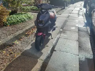 Pgo pmx 