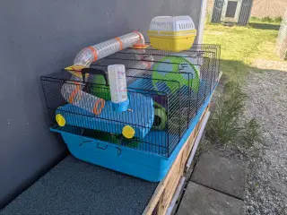 stort hamsterbur