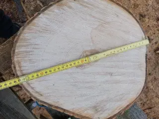 Træskiver