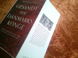 Gesandt for Danmarks konge, Martin Schwarz Lausten