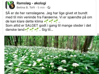 Ramsløg