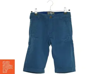 Shorts fra Molo (str. 140 cm)