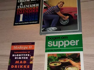 Børnenes rekordbog 1997