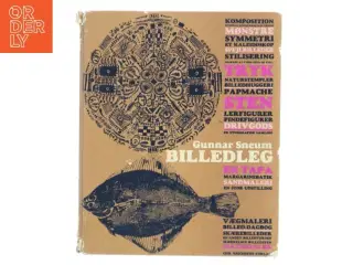Billedleg af Gunnar Sneum (Bog)