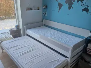 Seng med udtræksseng og opbevaring