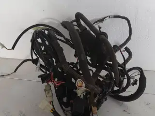 Peugeot Speedfight 4 efi 2 takt 