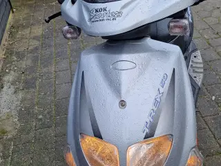 Pgo t-rex fra 2004 