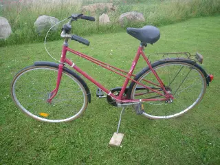 Cykel