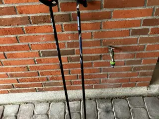 Stavgangs stave 117 cm