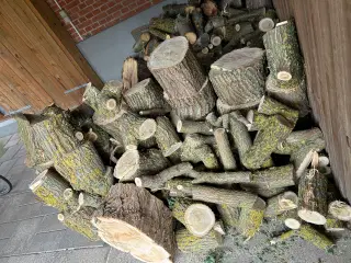 Brænde til vinteren