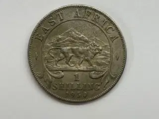 East Africa Shilling 1950
