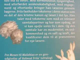 fra moses til malakias - en lystvandring i det gam