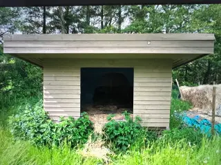 Shelter flyt selv 