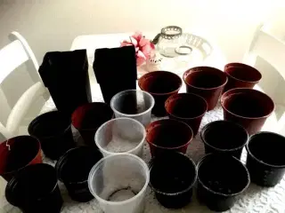 Urtepotter blandet 