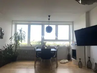 Hjembytte - BorgmesterFischersVej