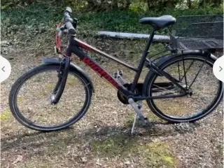 Pige cykel bortgives