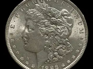 Morgan Dollar 1886