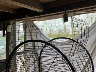 Papegøje bur