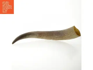 Dekorativt horn