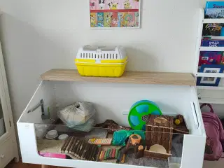 Hamster udstyr 