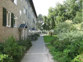 Hjembytte - Folehaven