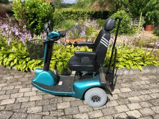 El scooter