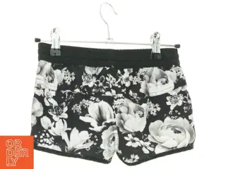 Shorts (str. 110 cm)