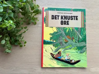 DET KNUSTE ØRE   -  Tintins Oplevelser