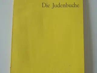 Die Judenbuche - ein Sittengemälde aus dem Gebirgi