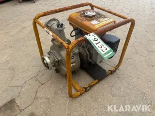 Pumpe Robin