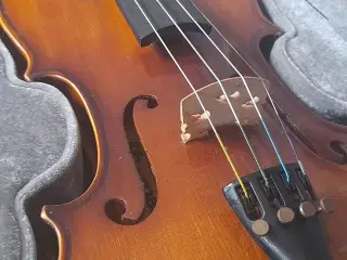 Violin 3/4