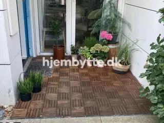 Hjembytte - Hyldemosen