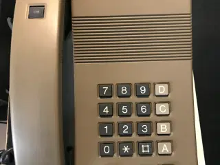Kirk 76 E