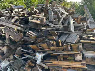 Brænde Palle-træ opsavet