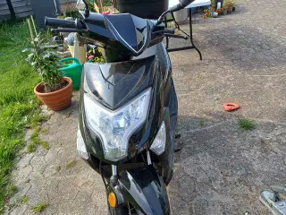 30 pgo scooter 