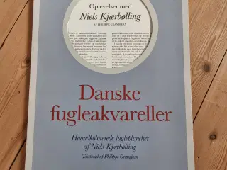 Danske Fugleakvareller af Niels Kjærbølling 